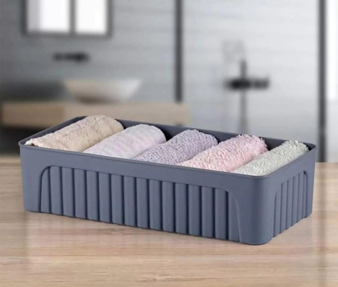 Plastic organizer 32*23*8 cm (5parts)
