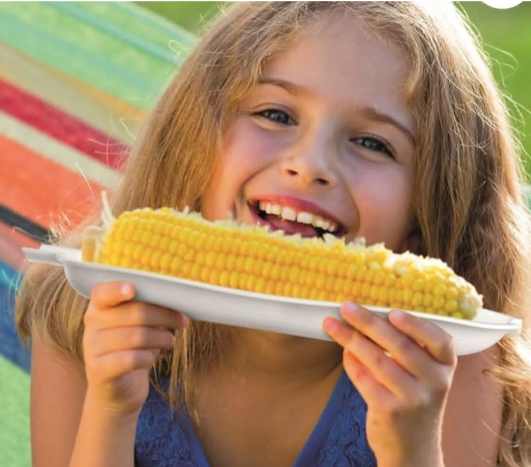 Plastic hot corn plate set of 3