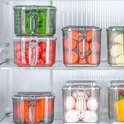 Small fridge organizer with lid and drainer