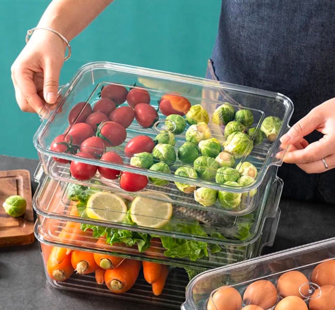 Rectangular organizer with lid and drain hole